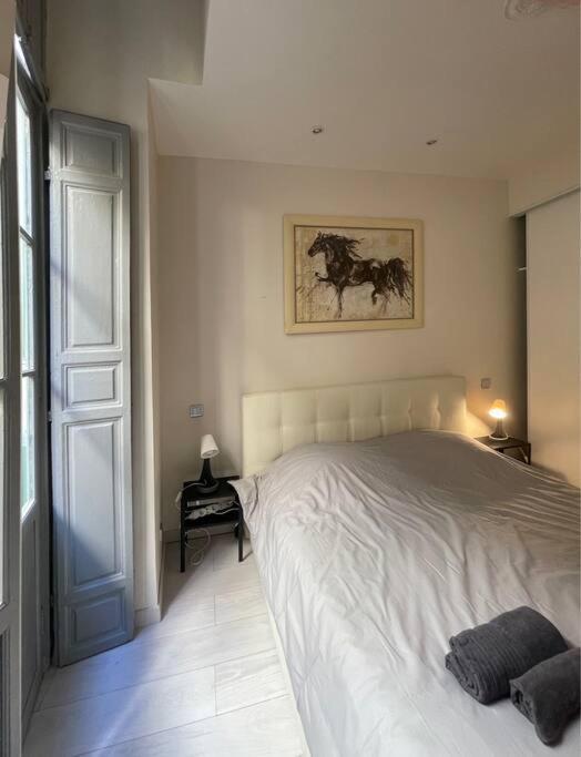 Luxury Apartment In The Heart Of Old Town Nice. מראה חיצוני תמונה